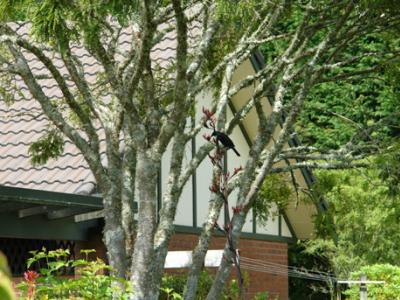 Clover Downs Homestead โรโตรัว ภายนอก รูปภาพ